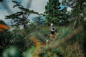 BIB: 
                            <button type="button" onclick="openModal(25258042)" class="btn btn-primary btn-sm float-right btn-popup" data-toggle="modal" data-target=".modal-high-quality">
                        <i class="fas fa-shopping-cart"></i> Add to Cart
                    </button>
                                            <button type="button" onclick="isThisMe(25258042, true)" class="btn btn-success btn-sm float-right btn-popup btn-isme hidden" data-toggle="tooltip" data-placement="bottom" title="นี่คือรูปของคุณใช่ไหม คลิกที่นี่เพื่อเอาเข้าอัลบั้ม">
                        <i class="fas fa-plus"></i> Add to album
                    </button>
                    <button type="button" onclick="isThisMe(25258042, false)" class="btn btn-warning btn-sm float-right btn-popup btn-isnotme hidden">
                        <i class="fas fa-ban"></i> Remove from album
                    </button>